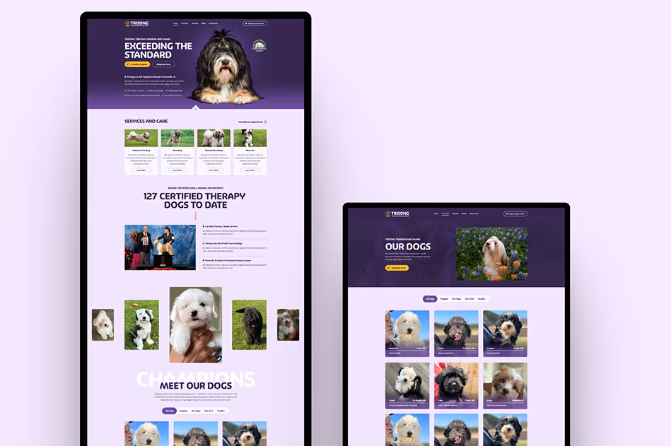 Trisong Tibetan Terriers