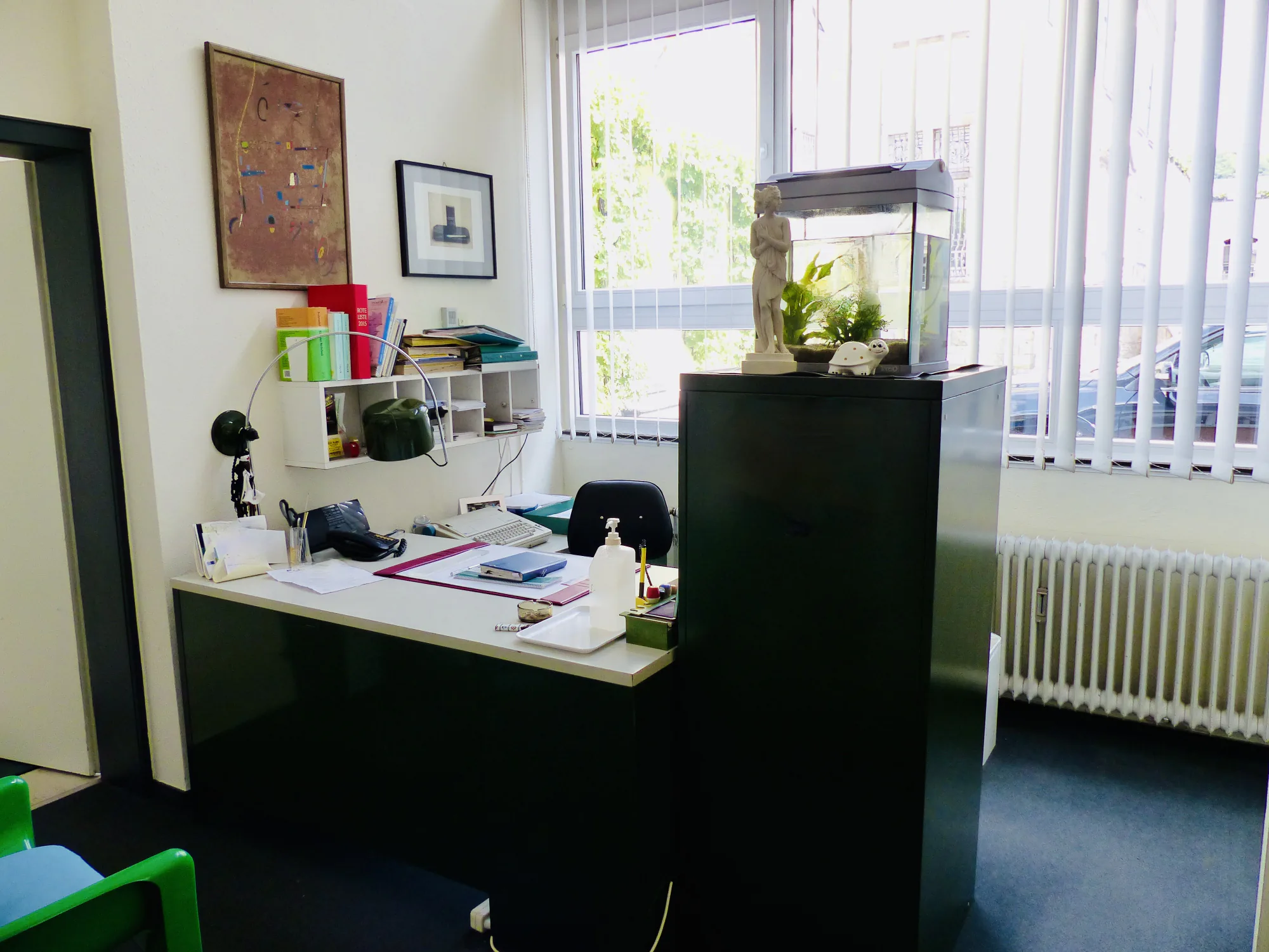 Empfangsbereich der Praxisfläche mit Schreibtisch und großen Fenstern