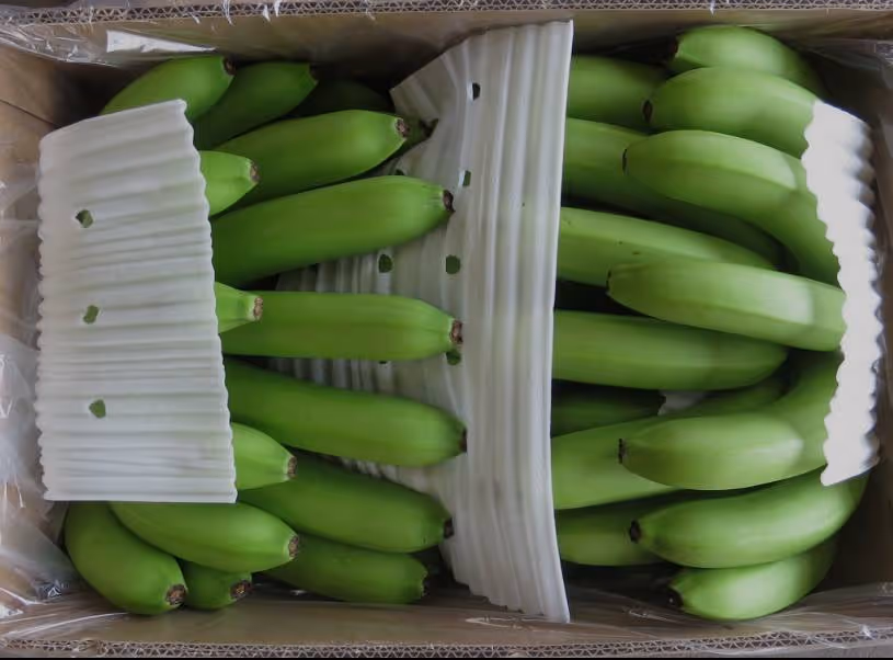 fresh-house-box-with-bananas