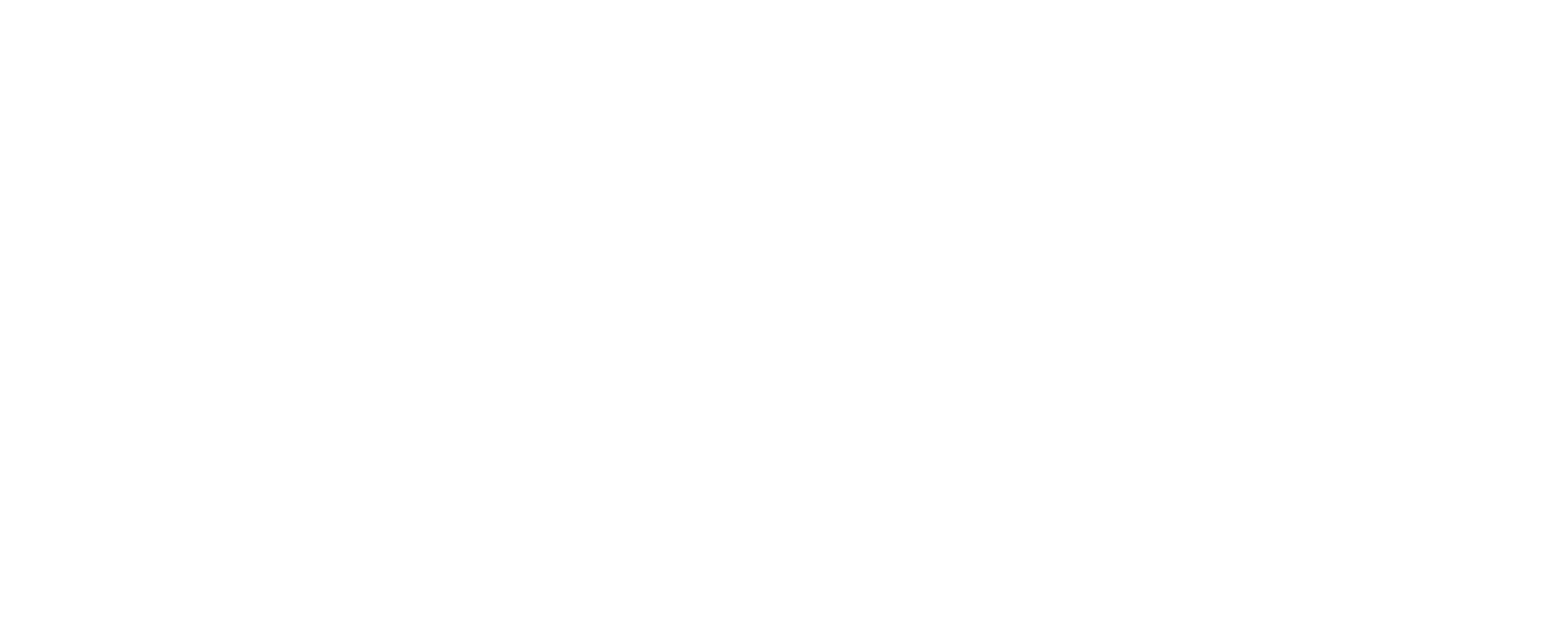 vebora webflow template image