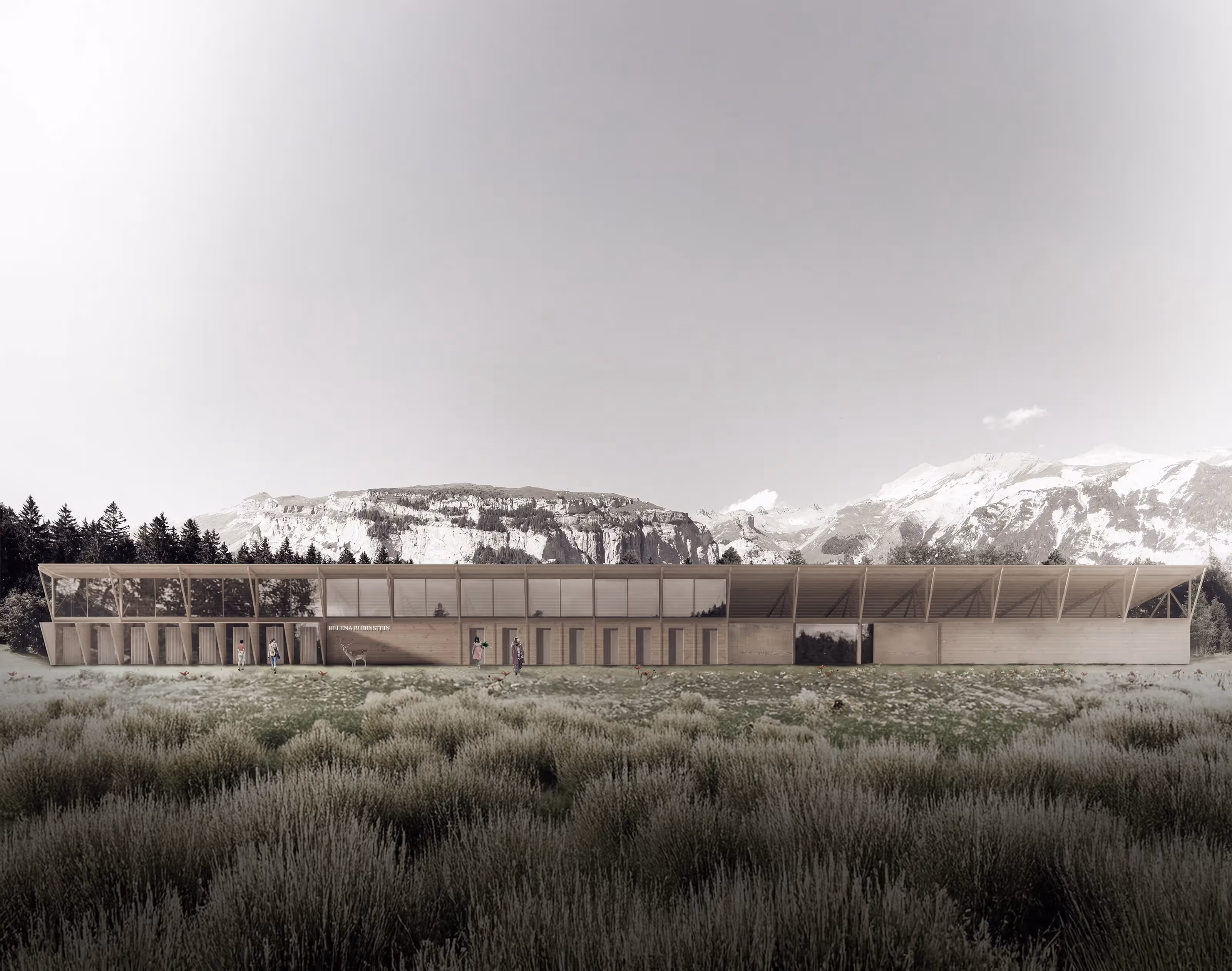 The Mindfull Metamorphosis