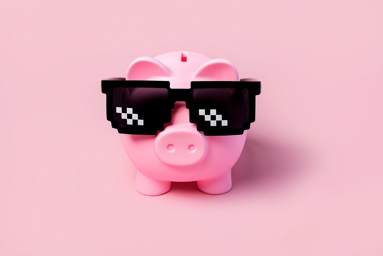 How Much Does It Cost to Build a Website in St. Petersburg, FL?