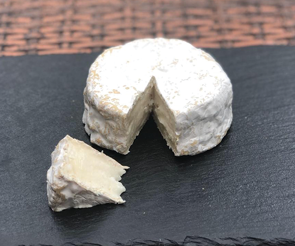 Queso Camembert artesanal 
