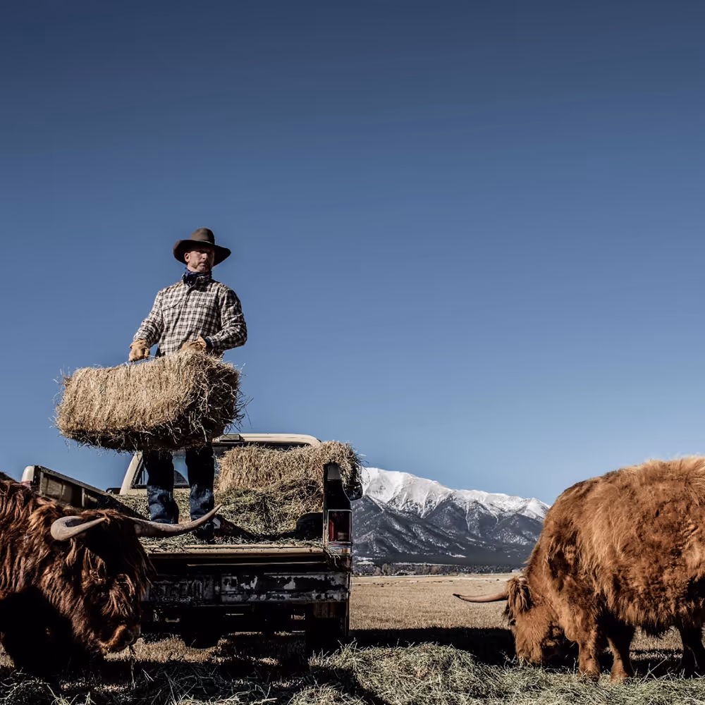 Cowboy standing in pickup bed stacking hay bales with snowy mountains in background, lifestyle brand photography by Roe Photo.