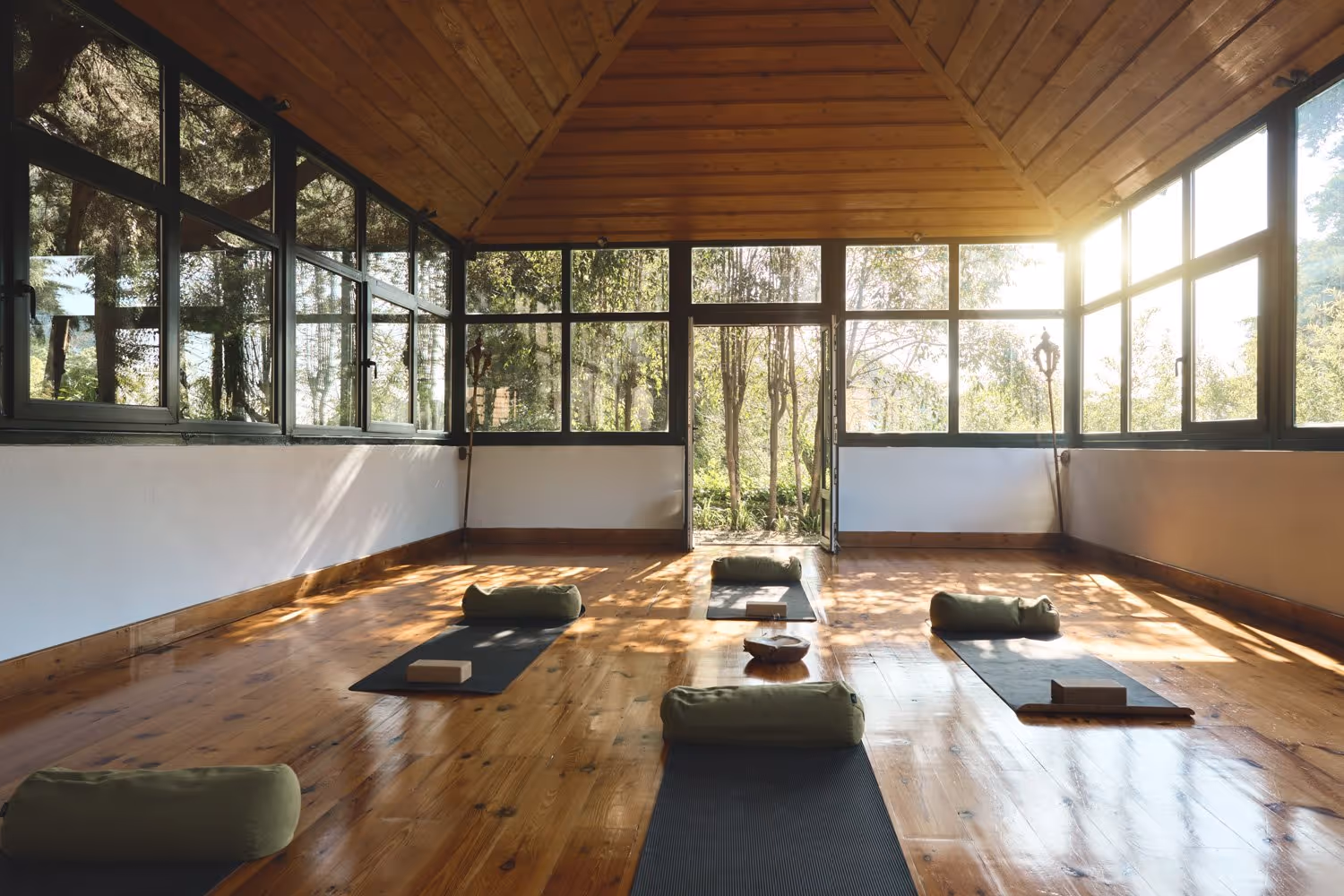 Sunlit yoga studio with wooden floor, large windows overlooking trees, and yoga mats with bolsters and blocks.
