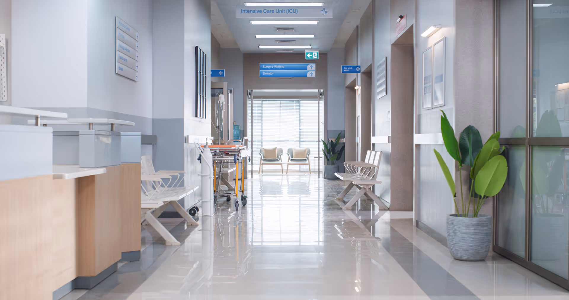 Bright hospital corridor with white benches, a medical stretcher, potted plants, and signs directing to the ICU, surgery waiting, and elevator.