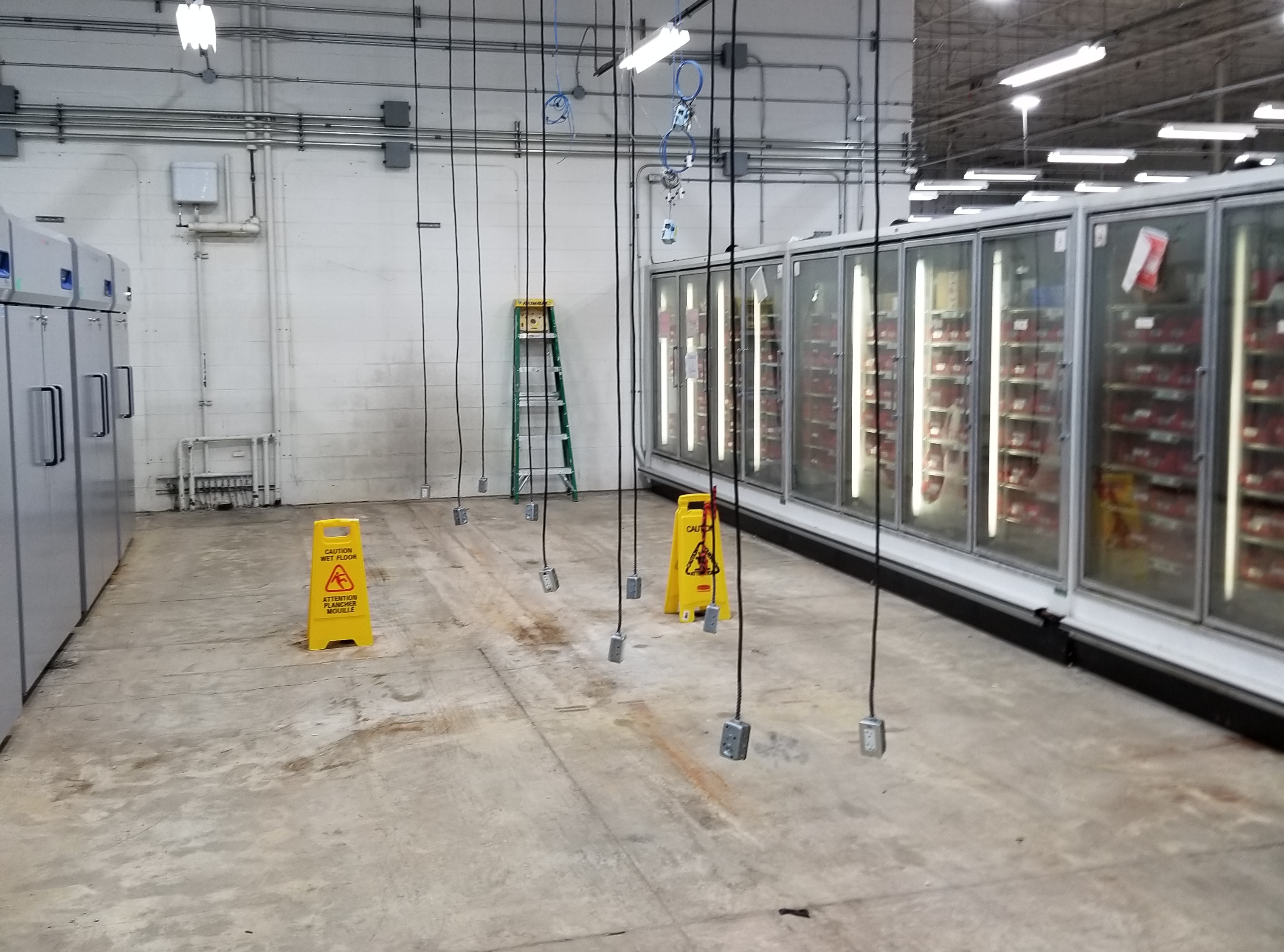 Empty commercial freezer aisle with hanging electrical outlets, yellow wet floor caution signs, and a green ladder against a wall.
