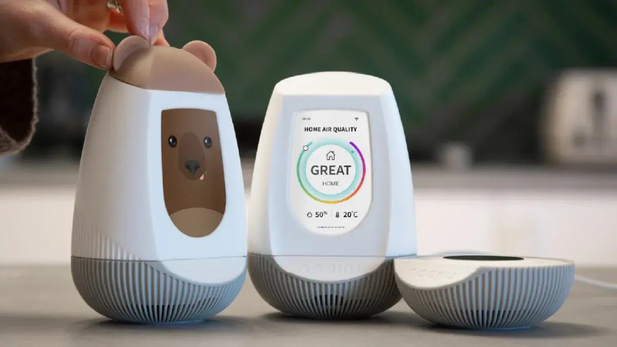 Nooku image of product with bear ears