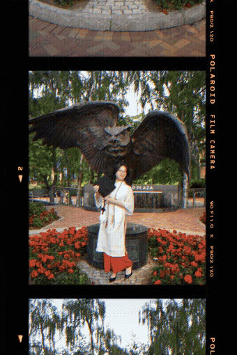 [digital project] image of a complete branding project (for a web design agency)