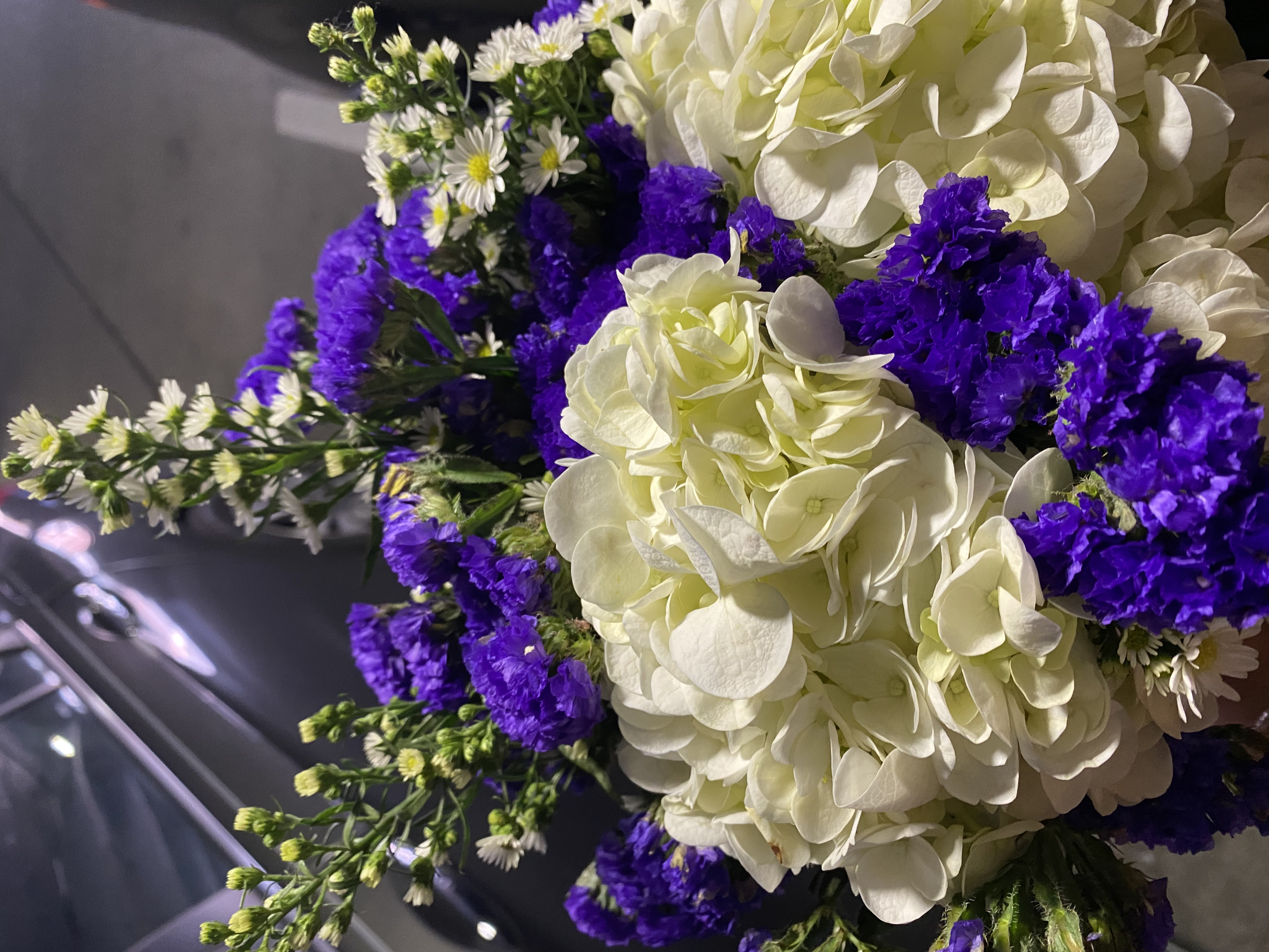 [digital project] image of a complete branding project (for a web design agency)