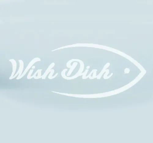 White stylized fish outline with the cursive text 'Wish Dish' inside on a light blue background.