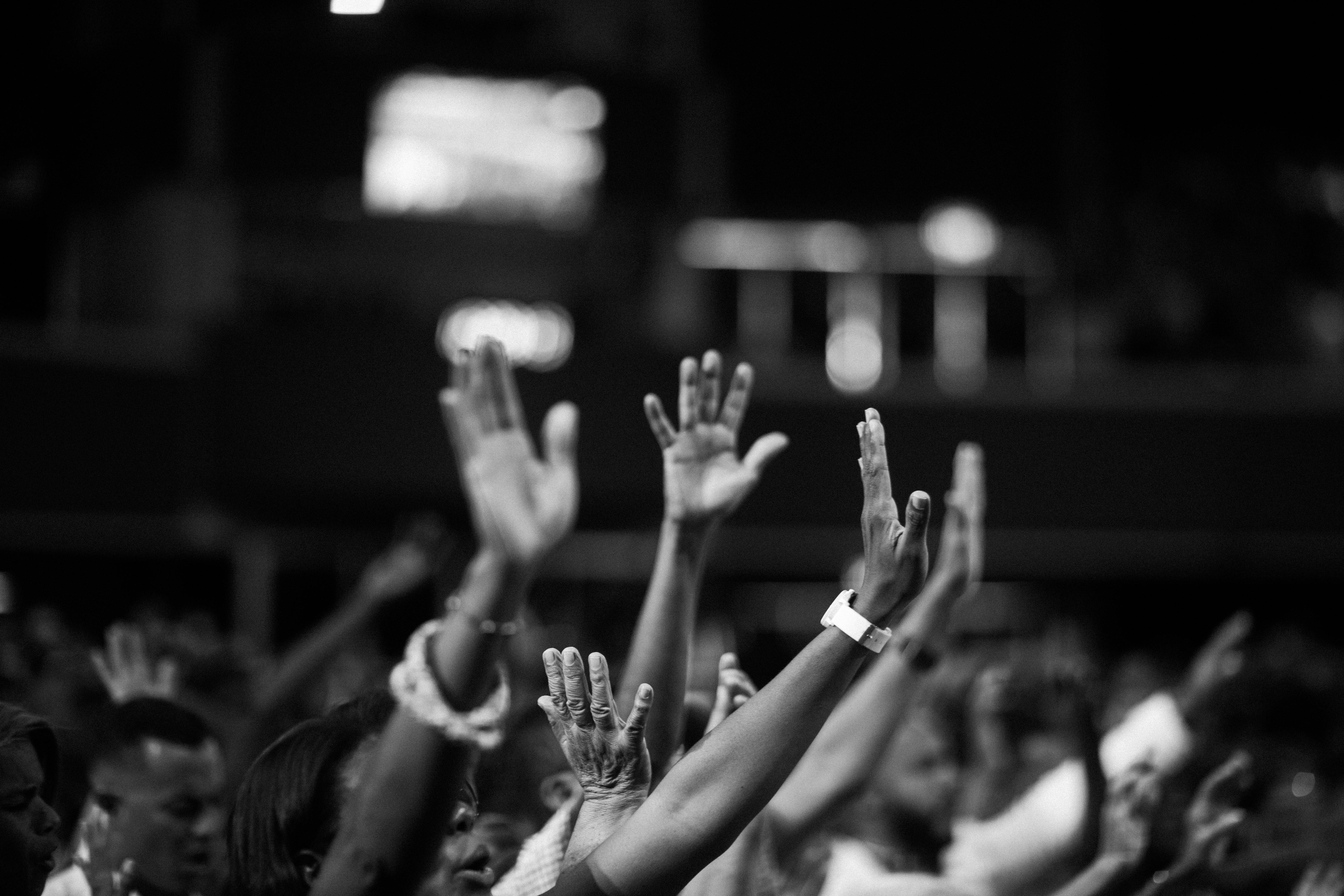 Blog Banner