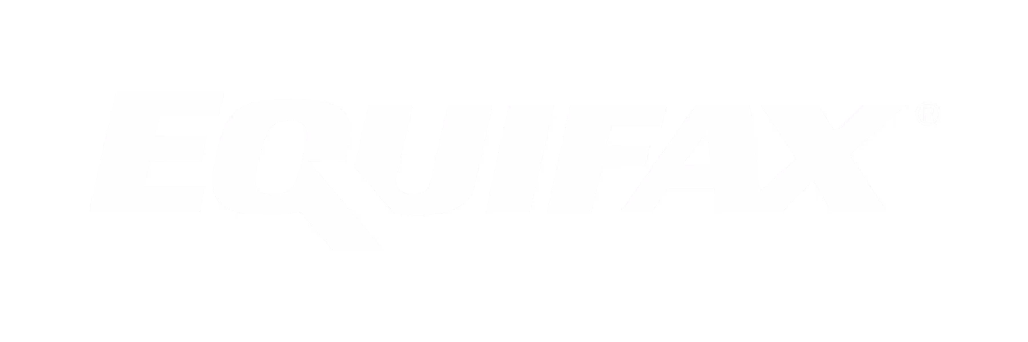 Credit Intell Data Partner Equifax Credit Bureau