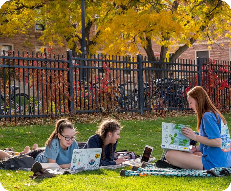 students studying outside