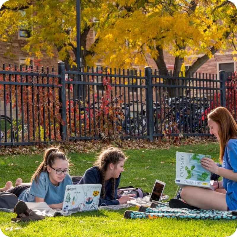 students studying on campus