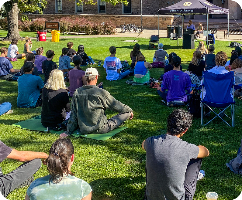 students sitting on the grass