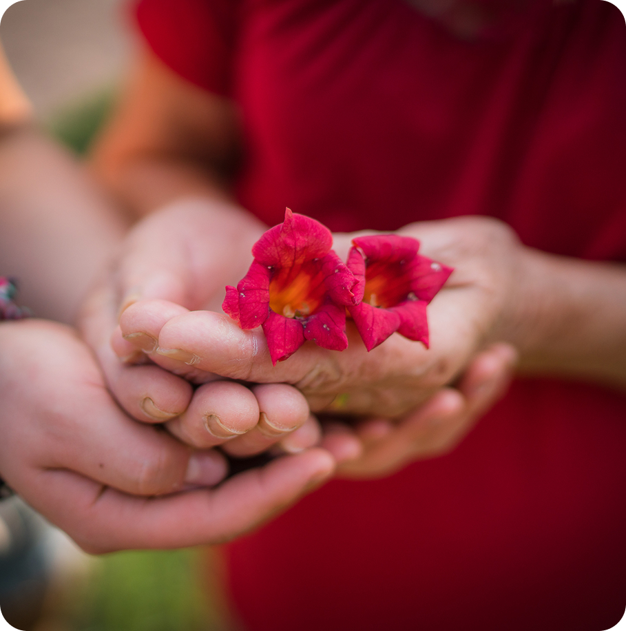 holding flowers in hand