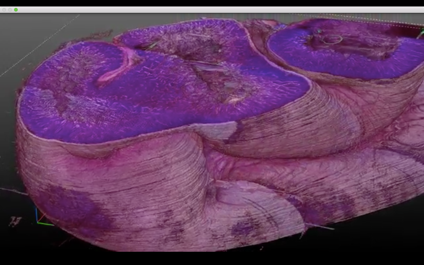 3Scan - automated serial section microscopy