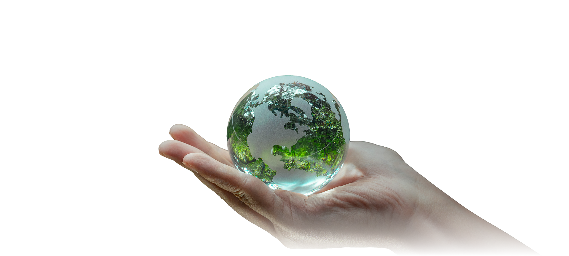 Sustainability object