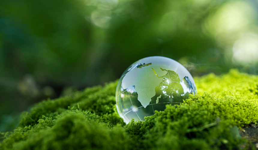 For the planet