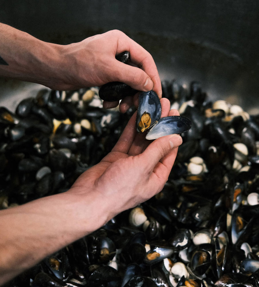 Mussels being prepared in the Slurp kitchen.