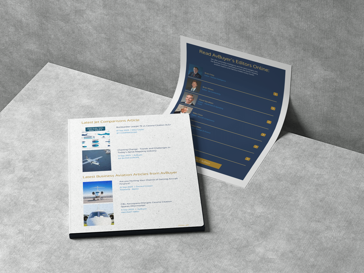 Sandip Dhamelia branding and identity Design Project