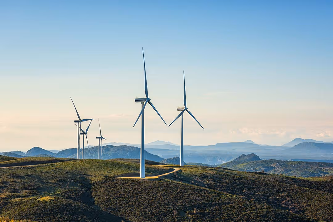 Aree di intervento Shelter