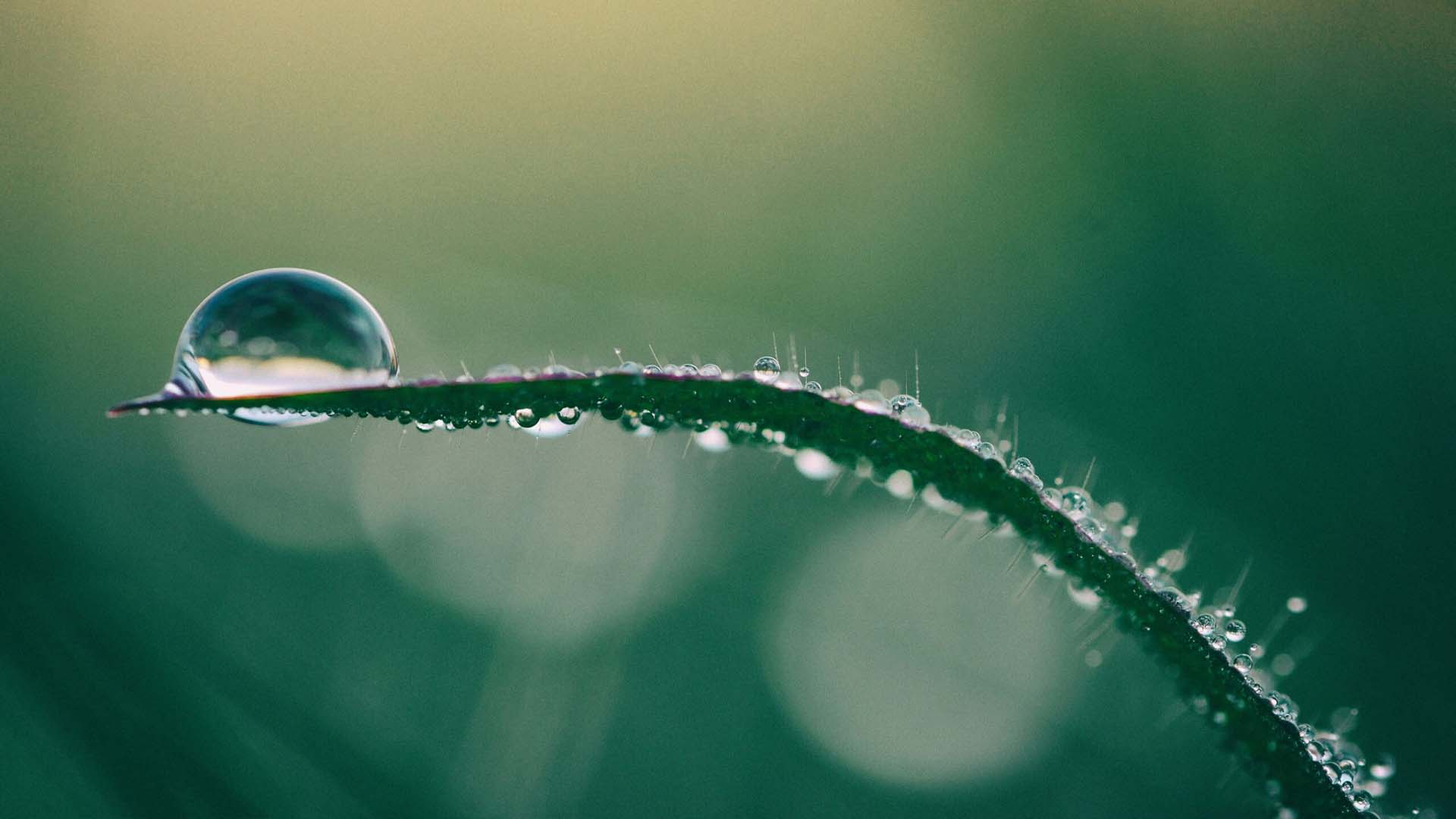 Gamechangers in Resilience: Leadership's Fragile Balance