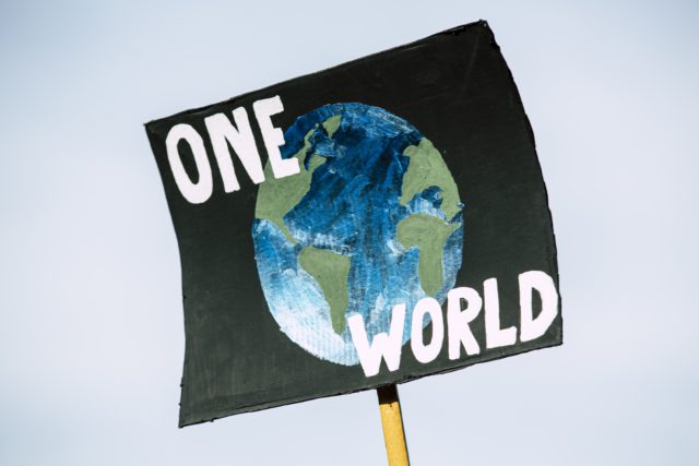 Organisational Impacts of Climate Risks