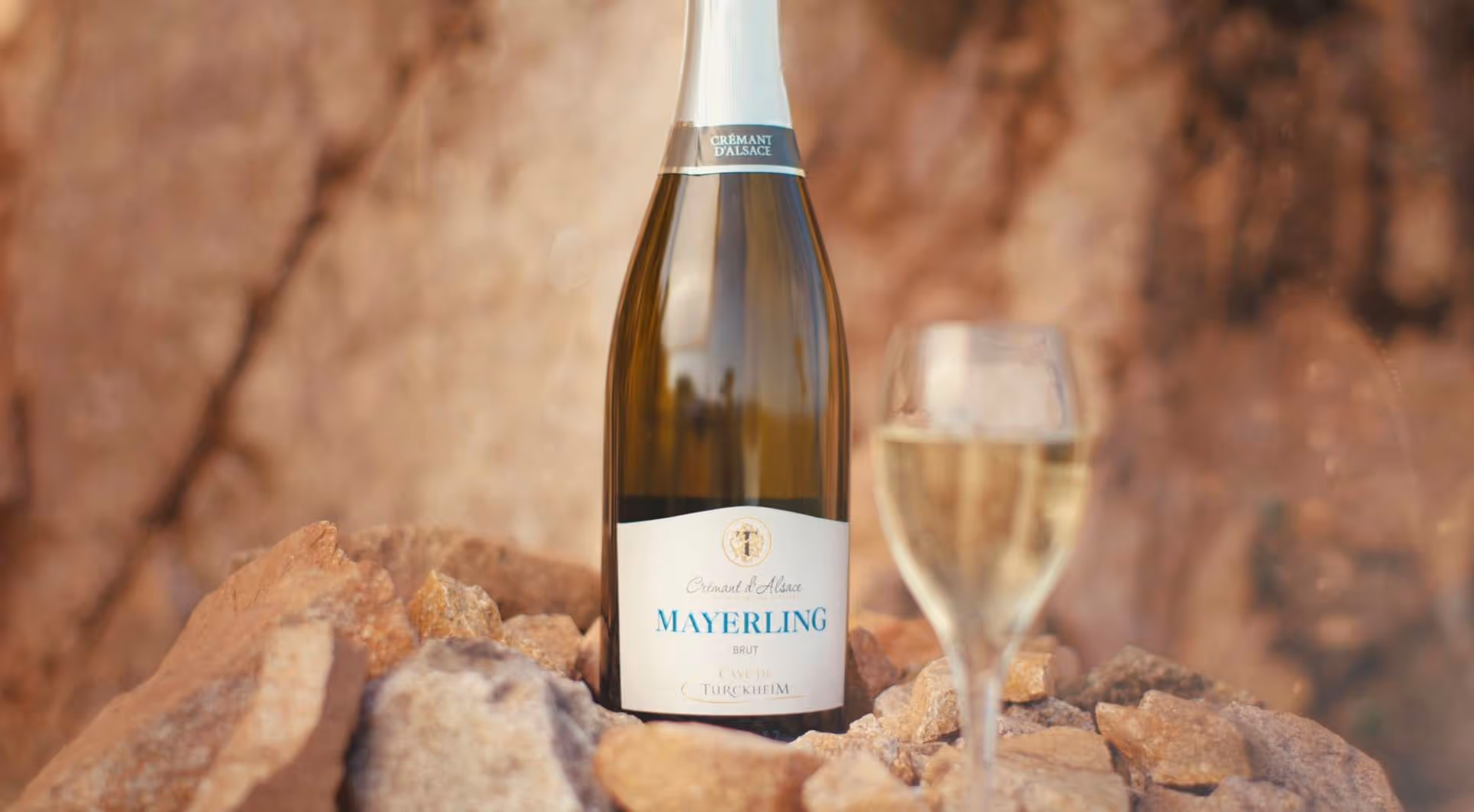 Capture d’écran 2025-08-22 à 15.49.15.jpg