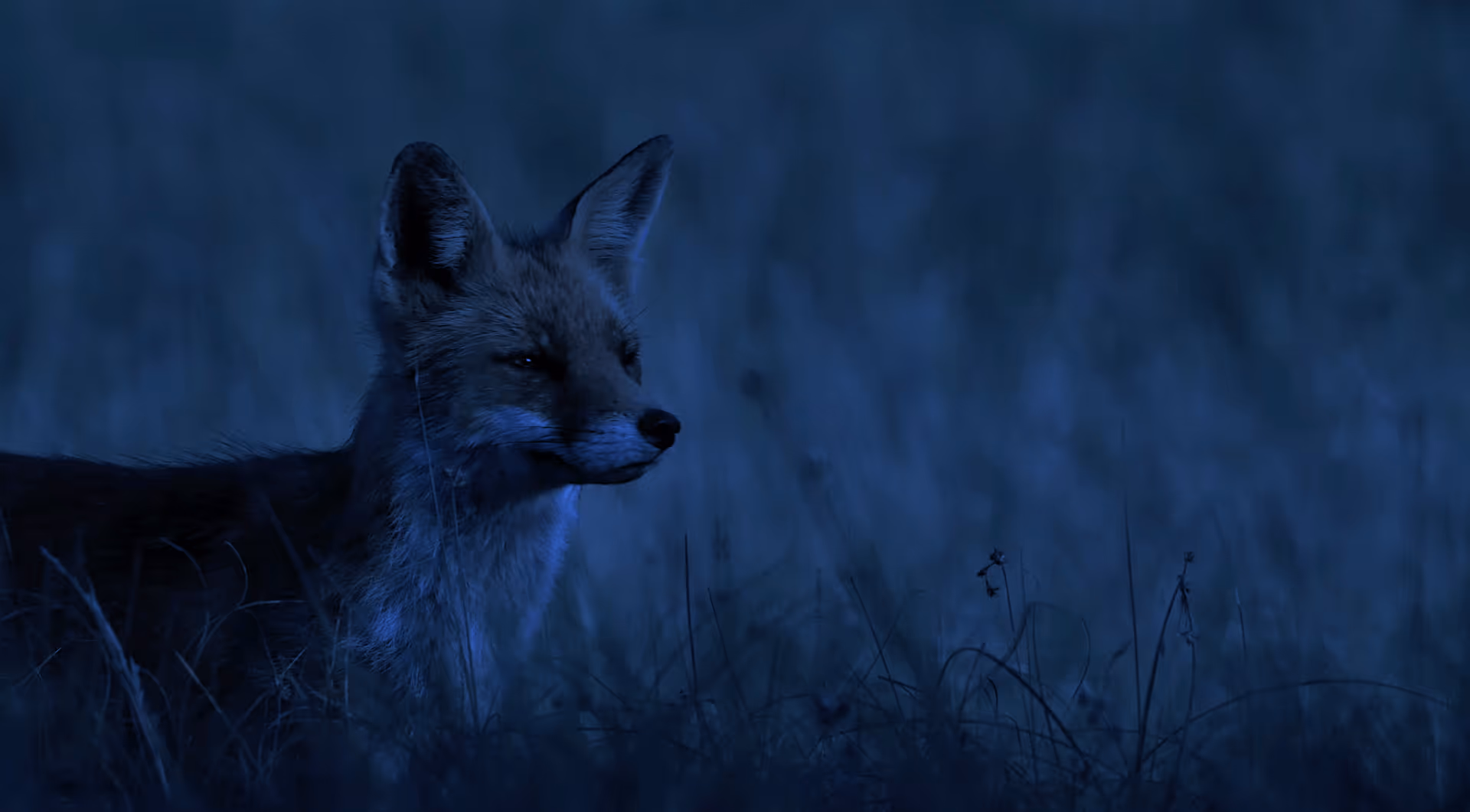 Capture d’écran 2025-08-22 à 15.17.03.png