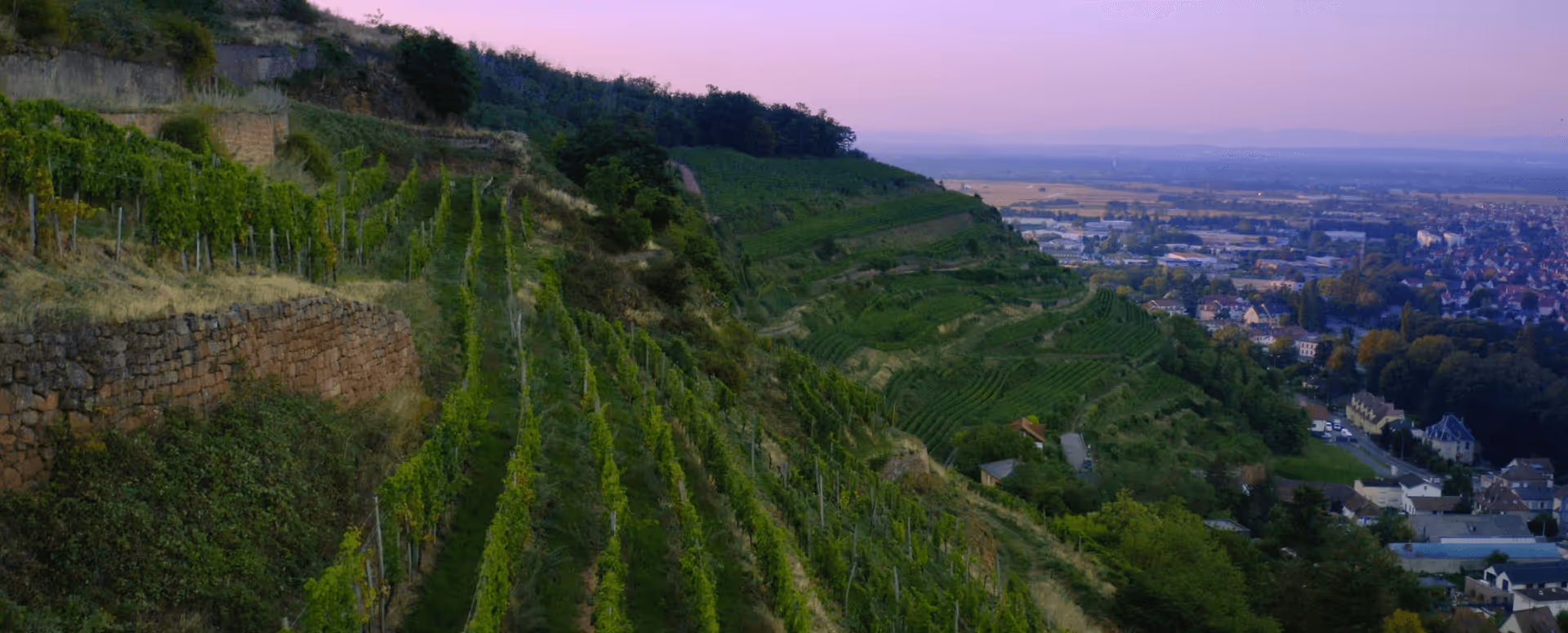 Capture d’écran 2025-08-22 à 13.41.39.png