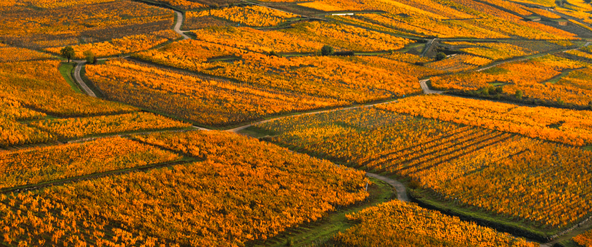 Capture d’écran 2025-08-22 à 14.41.46.png