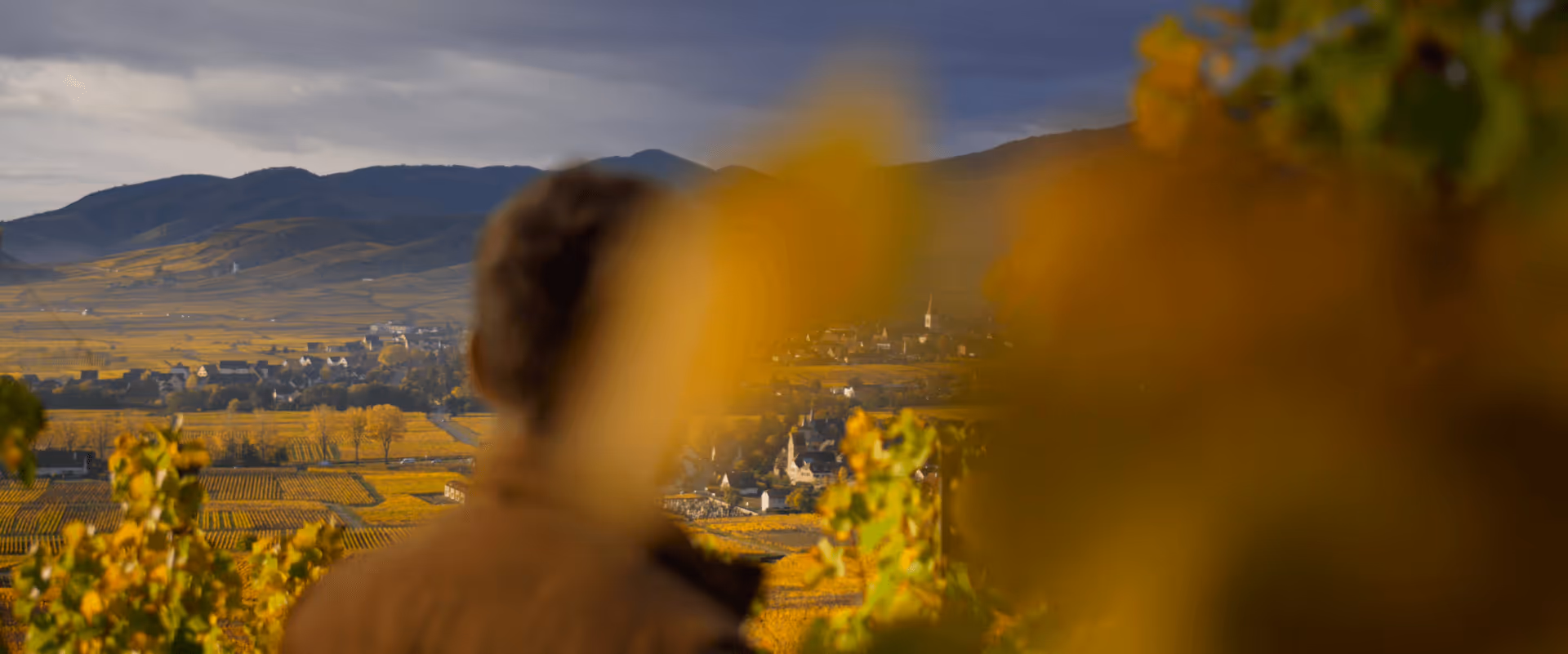 Capture d’écran 2025-08-22 à 14.40.58.png