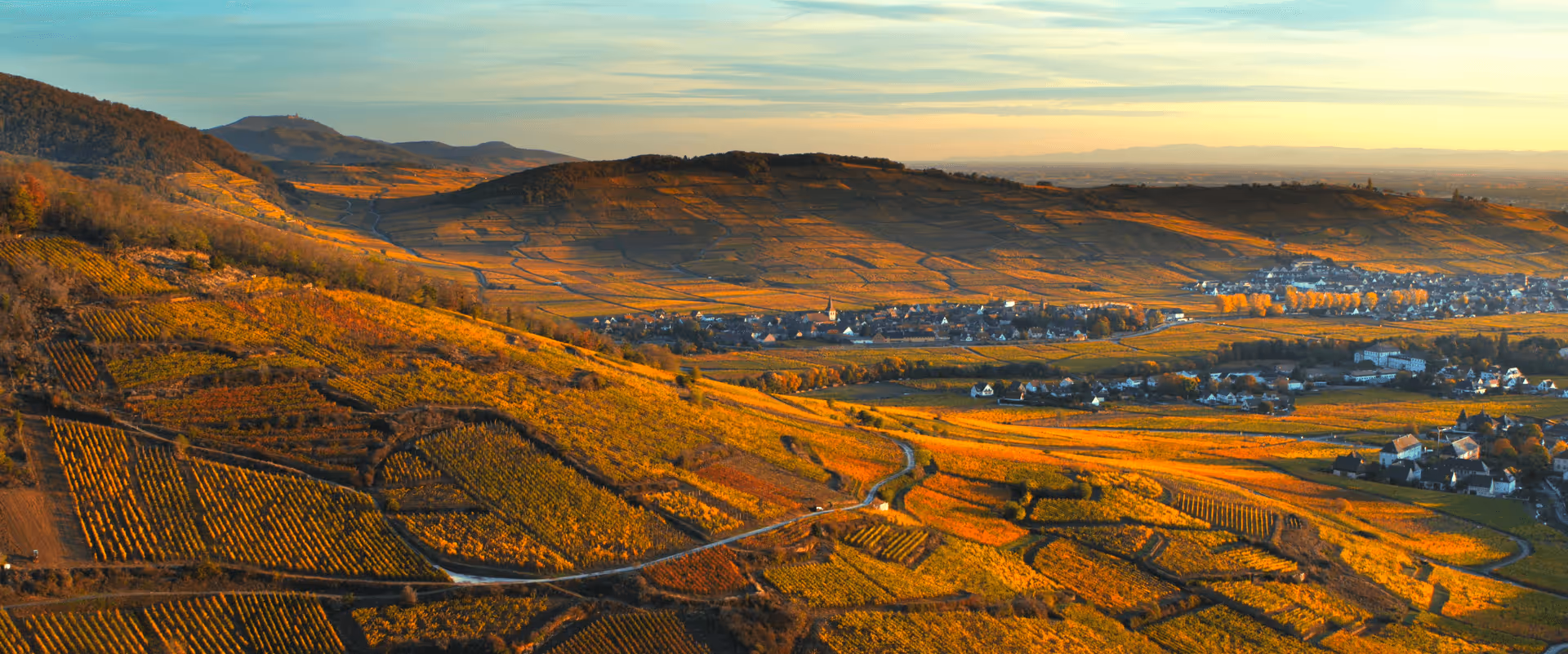 Capture d’écran 2025-08-22 à 14.41.05.png