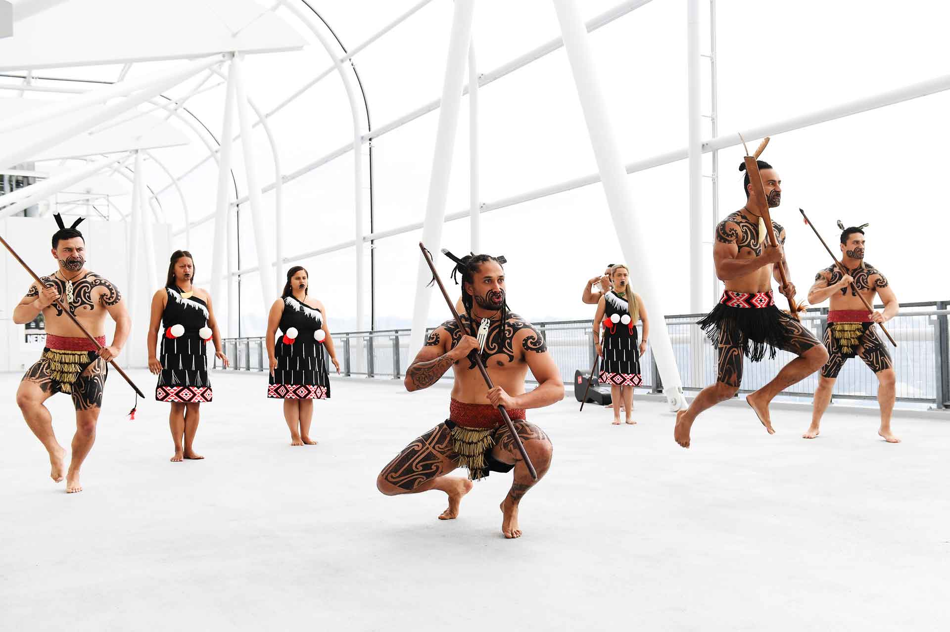 The Haka Experience: Website, SEO & Ads Launch