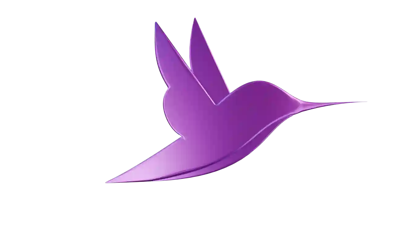 Animated purple colibri bird rotating and smoothly transforming into a debit card