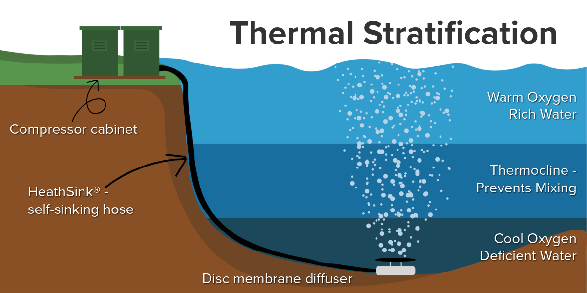 Thermal Stratification diagram, showing the water layers and a diffused aeration system by Heathland Fountains and Aerators. 
