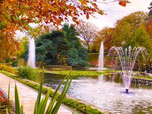AquaMaster Fountains and Aerators