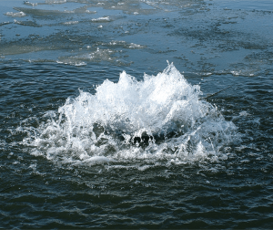 Torrent fishery aerator shown in a small lake during winter how to aerate a lake 