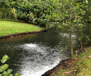 large lake aeration systems, custom aeration system installation Essex