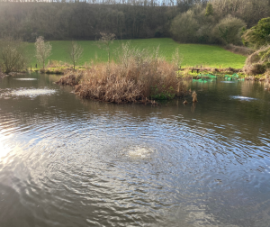 Heathland Pond Diffused Aeration Dorset After