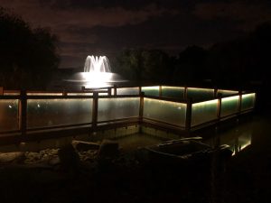 Select series 2 superlily floating lake fountain installed in epping, essex.