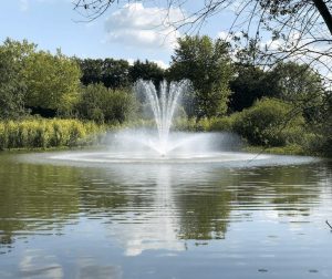 select series 2 super lily floating lake fountain installed in epping, essex.
