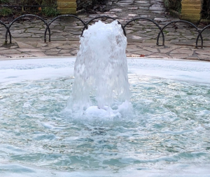 Peckham-Rye-Evolution-Fountain-Heathland-Group 3