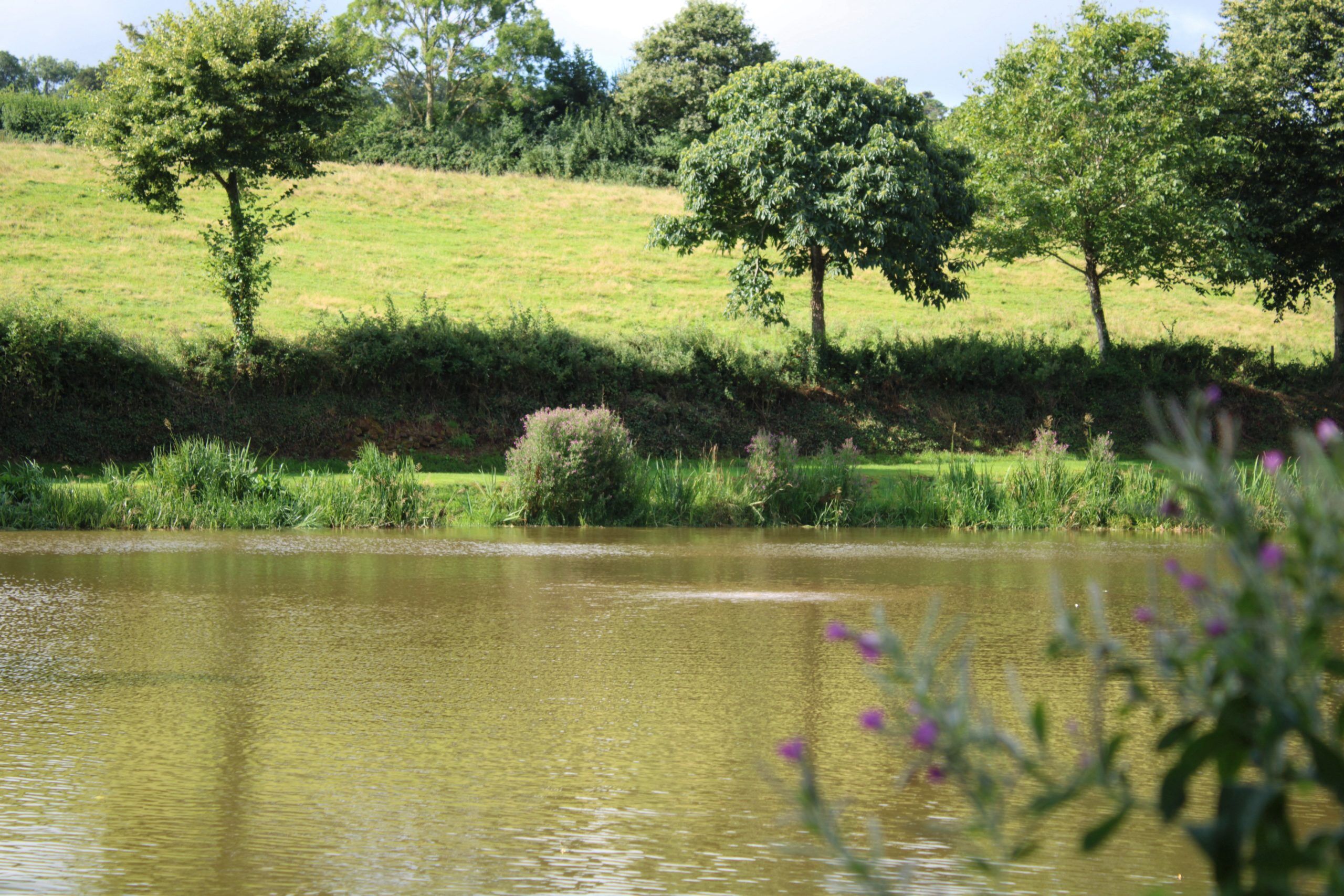 OxiAir HD Diffused Aeration System Installed At Southview Lodges, Exeter limage of the lake
