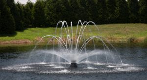 1.5HP Fusion Floating Pond Fountain Double arch lily pattern display