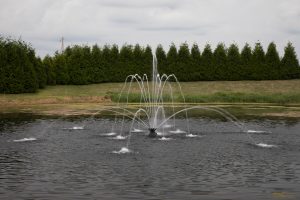 1.5HP Fusion Floating Pond Fountain Tiara pattern display