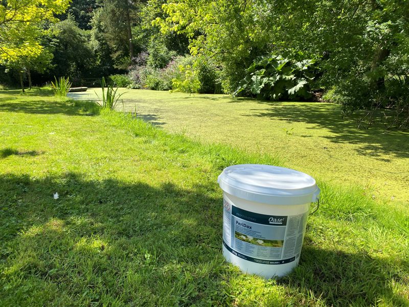 New Product Launch – OASE PeriDox Blanketweed & parasite treatment