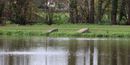 solar lake aeration